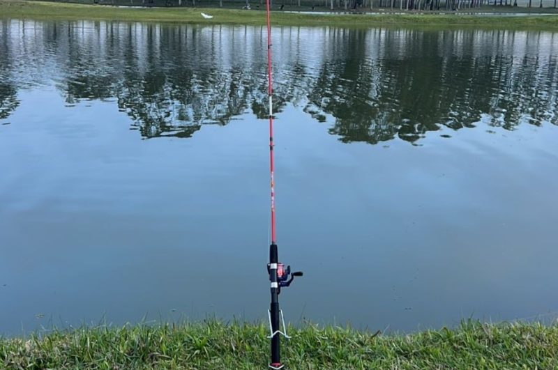 Taxa Pesca Esportiva (Diurna)
